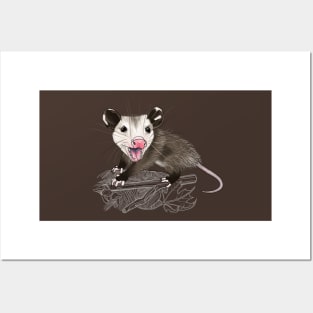 Baby Opossum-dark background Posters and Art